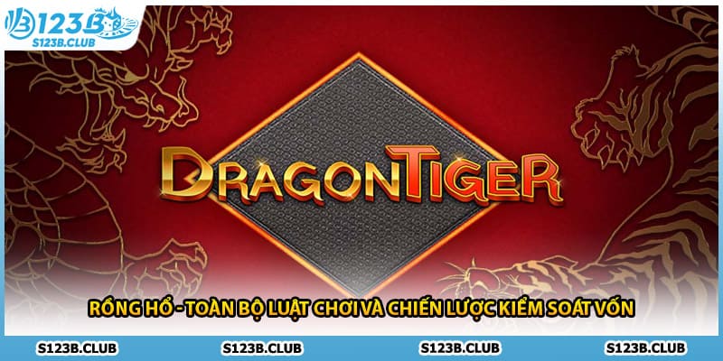 Rồng Hổ - Toàn Bộ Luật Chơi Và Chiến Lược Kiểm Soát Vốn